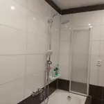 U Petrů 1 Apartmán Jáchymov